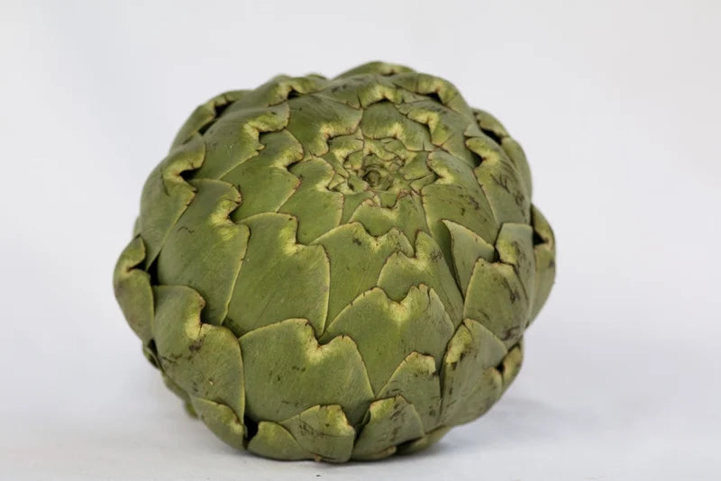 Artichoke Leaf